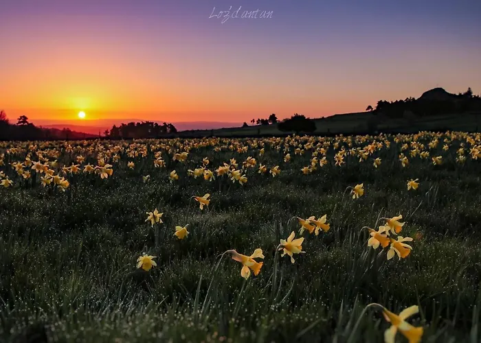 La Coope De * Maurines